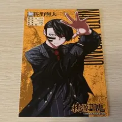 桃源暗鬼 22巻 アニメイト特典 ポストカード 無駄野無人 - メルカリ