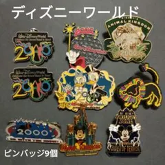 ディズニーワールド ピンバッジ 9個セット 2000年