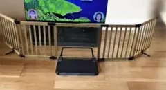 Item thumbnail for item c71091a9-302c-41a1-93dd-54bbd37d83eb