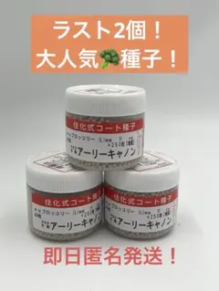 即日匿名発送】ブロッコリー（アーリーキャノン）5250粒 - メルカリ