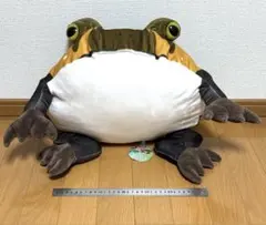 モチっとおおきなアメフクラガエル　ぬいぐるみ