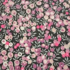 ウィルトシャー