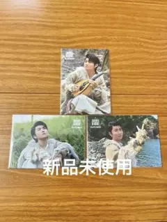 新品未使用 ミセス ゼンジン未到 フォトカード 若井滉斗