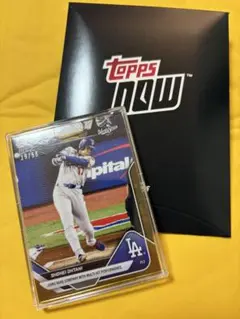 Adrian Beltre/2026MLB直筆サインボール | Mercari