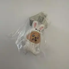 StrayKids SKZOO つまんでつなげてますこっと ハン・リノ