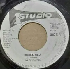 LION-X様 リクエスト 2点 まとめ商品