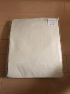 Item thumbnail for item 25822d4c-e4b0-41f3-ae11-eec8f6c08f9b