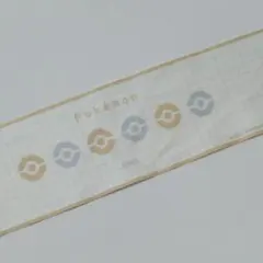 ポケモンコラボ　jins  メガネ拭き　クリーナー　ジョウト地区　ポケカ