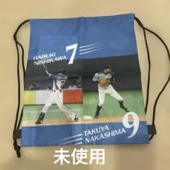 Item thumbnail for item ed680066-39de-409a-9b7d-52aa36e60c8e