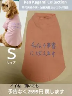 【美品】タコマフジ INDEPENDENT フーディー M 加賀美健 2026年最新】加賀美健の人気アイテム - メルカリ