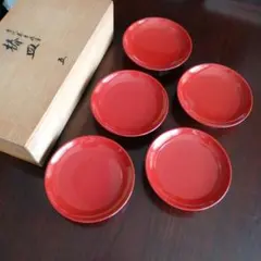 美品】未使用 越前塗 椿皿5客揃い 銘々皿 光琳堂 5枚 箱付き - メルカリ