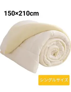 布団 掛け布団 肌掛け布団 オールシーズン　シングル　寝具　ホワイト　両面　快眠