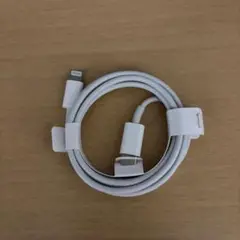 Apple iPhone 充電器