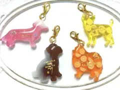 犬　チャーム　セット