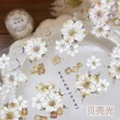 fc46s♦︎繁花文创-棕茶影 PET 贝壳光 1ループ 1m