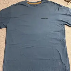 patagonia 緑 Tシャツ バックプリント