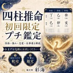 2026年最新】四柱推命 キャリカレの人気アイテム - メルカリ