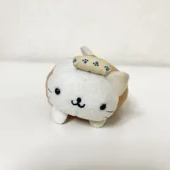 Item thumbnail for item 3f68a890-5792-4b66-8efe-0d7d3d89b709