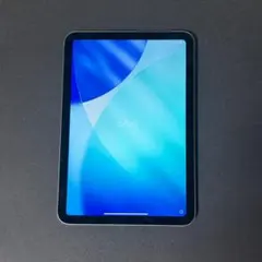 iPad mini Wi‑Fi + Cellularモデル 256GB グレイ