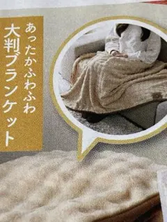 ブロンコビリー福袋　大判ブランケットのみ