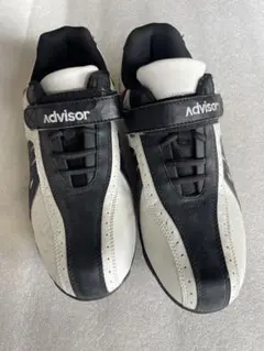 le coq sportif ゴルフシューズ25.5 le Coq Sportif ルコック ゴルフシューズ ダイヤル式 25.5cm - メルカリ