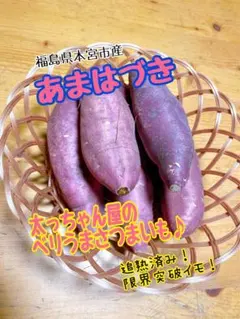 プロフ確認様専用！太っちゃん屋のベリうまさつまいも　5kg