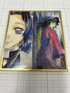 鬼滅の刃　アクリル色紙　webshop　くじ　9 枚セット　冨岡義勇　胡蝶しのぶ 鬼滅の刃無限城編 アクリル色紙 冨岡義勇 胡蝶しのぶ - メルカリ