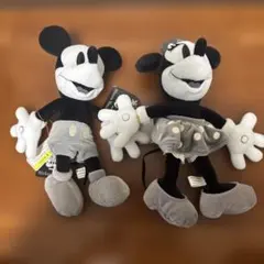 東京ディズニーランド　ミッキー＆ミニー ぬいぐるみセット 約30cm