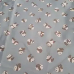 パンダ50cm生地 Tokyo trip