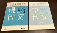 2025 重要問題演習　現代文　進研学参