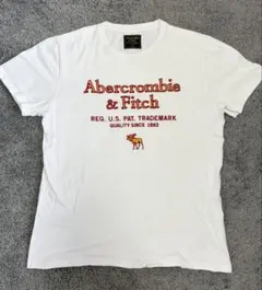 Abercrombie & Fitch ロゴ刺繍 Tシャツ ホワイト Mのサムネイル