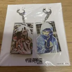 100名限定】呪術廻戦 モジュロ 2連アクリルキーホルダー - メルカリ