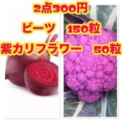 Tran様 リクエスト 3点 まとめ商品