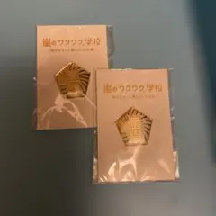 嵐のワクワク学校 ピンバッジ 2個セット