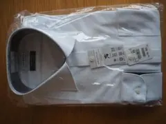 Item thumbnail for item 02c2538d-fb72-411d-b774-f42a1d0b793e