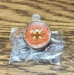 東雲彰人 リングライト