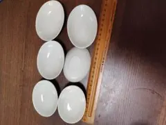 白い陶器製楕円形ボウル6個セット