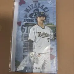 【新品】オリックスバファローズ　中川圭太 2026宮崎キャンプチケットホルダー