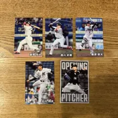 プロ野球チップス　2025 カード　千葉ロッテマリーンズ