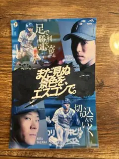 まだ見ぬ景色を、エスコンで。五十幡　矢澤