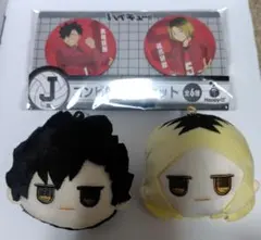 ハイキュー!! ぬいぐるみ・バッジセット
