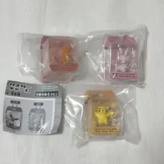 ポケプラブリスター パッケージチャーム ピカチュウ ミュウ ヒトカゲ
