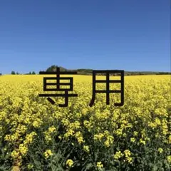 Yutanan様専用です！