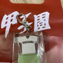 【最終値下げ】横浜高校公式戦ユニフォーム 背番号あり 1990年後半 県大会 夏 交流戦2025/ハイクオリティーレプリカユニフォーム/VISITOR/#背