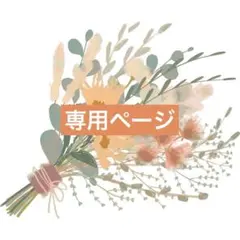 haniel様 リクエスト 2点 まとめ商品