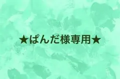 ★ぱんだ様専用★