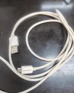 Pisen Lightningケーブル ホワイト