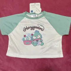 【新品】サンリオ　ハンギョドン　半袖　Tシャツ ヒヤロン　100cmのサムネイル