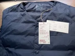 Item thumbnail for item 7a7506ff-c41a-45a1-b1d2-ff6f05149117