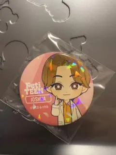 SEVENTEEN セブチ Petiteen 缶バッジ ジョシュア